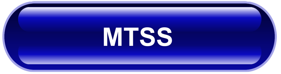 MTSS Button