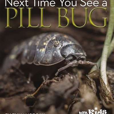 Next Time You See a Pillbug
