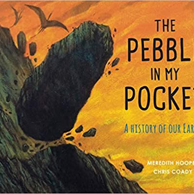 The Pebble in my Pocket