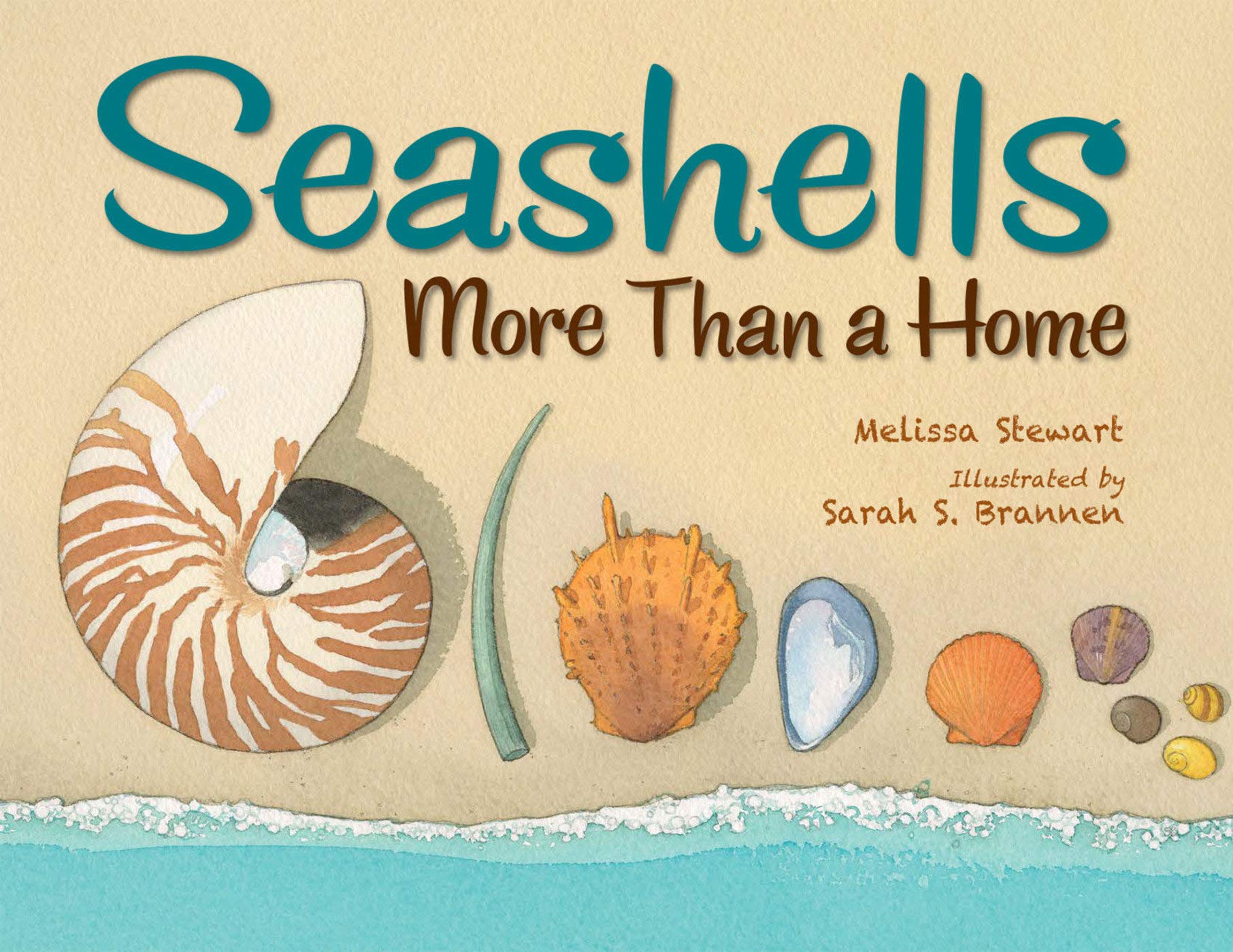 Seashells: More than a Home cover